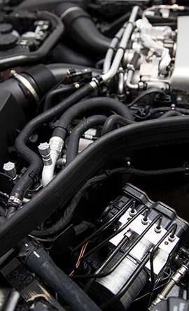 portfolio-12 portfolio-12